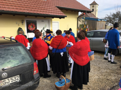 Narrentreffen_Honstetten_001