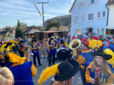 Narrentreffen_Eigeltingen_2020_001