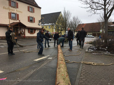 Narrenbaum_faellen_2017_001